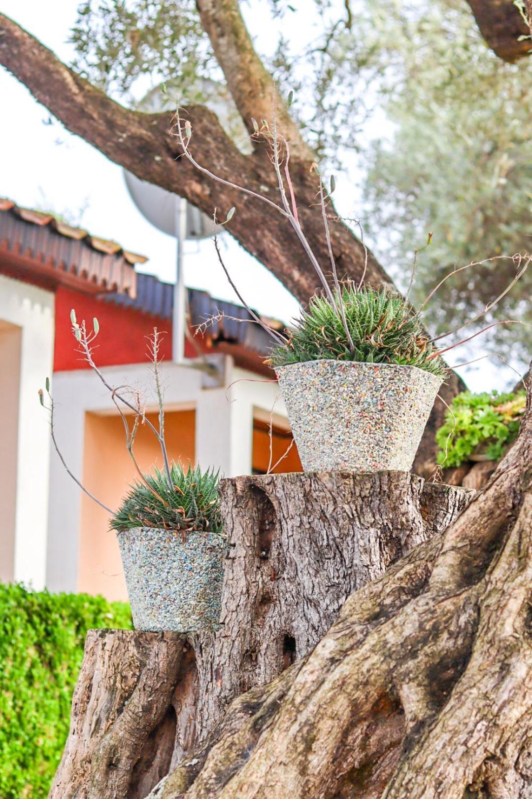 Hilja'S Oliven Garden Bungalows Ulcinj Kültér fotó