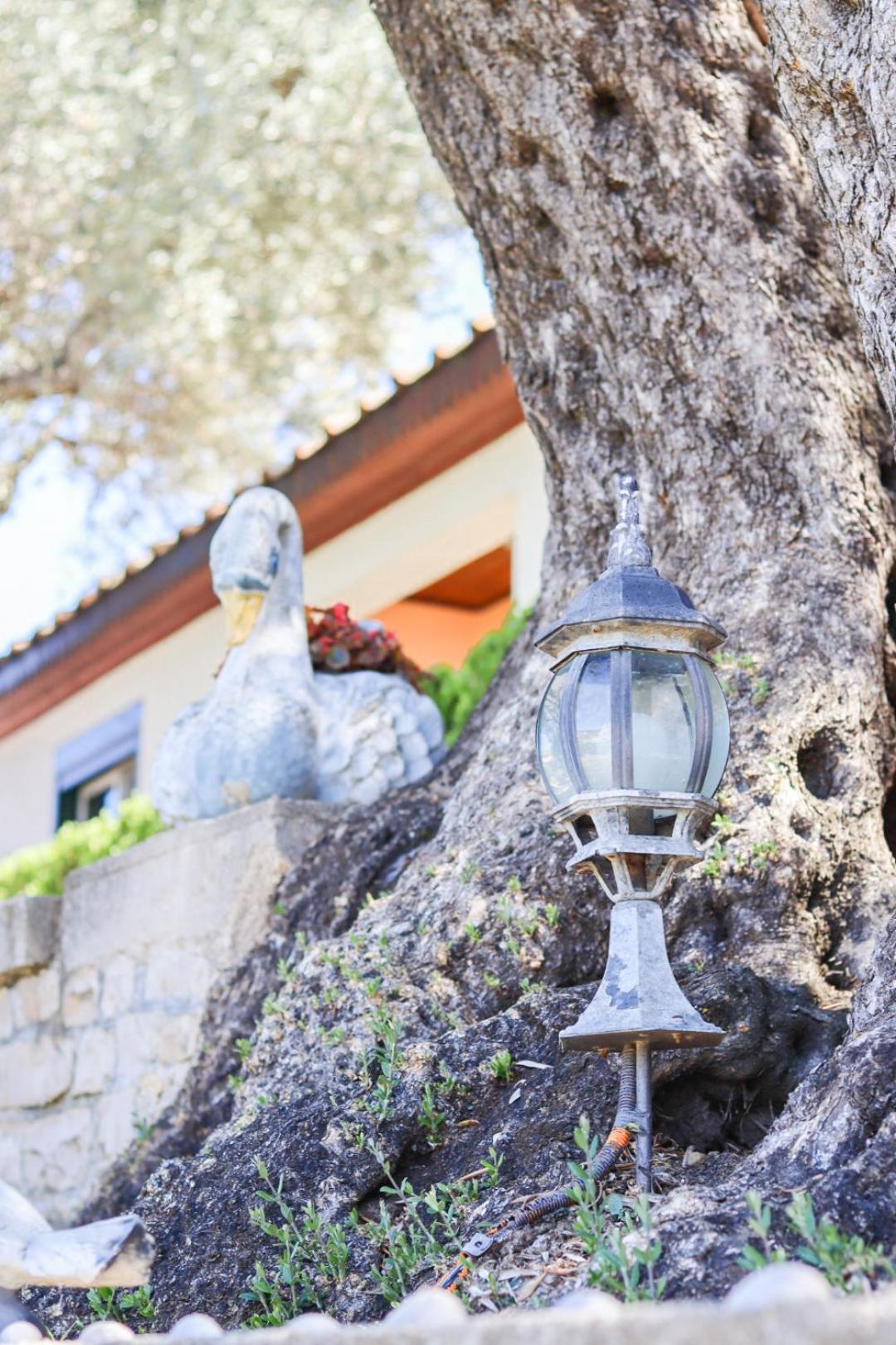 Hilja'S Oliven Garden Bungalows Ulcinj Kültér fotó
