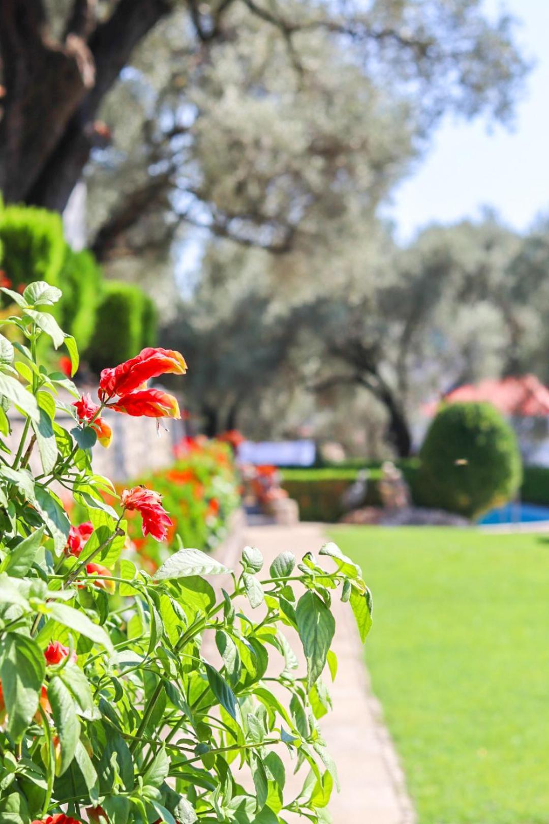 Hilja'S Oliven Garden Bungalows Ulcinj Kültér fotó