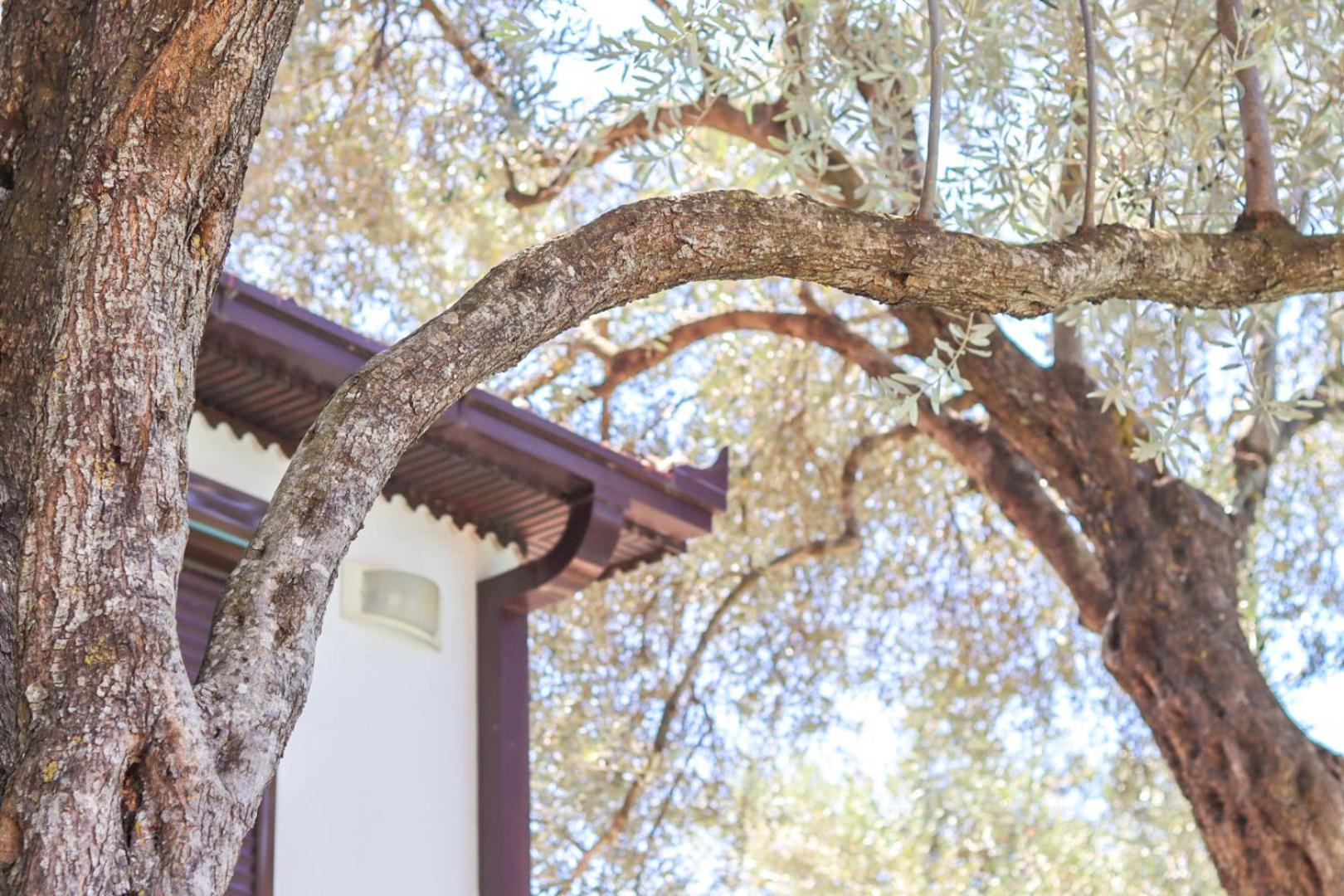Hilja'S Oliven Garden Bungalows Ulcinj Kültér fotó