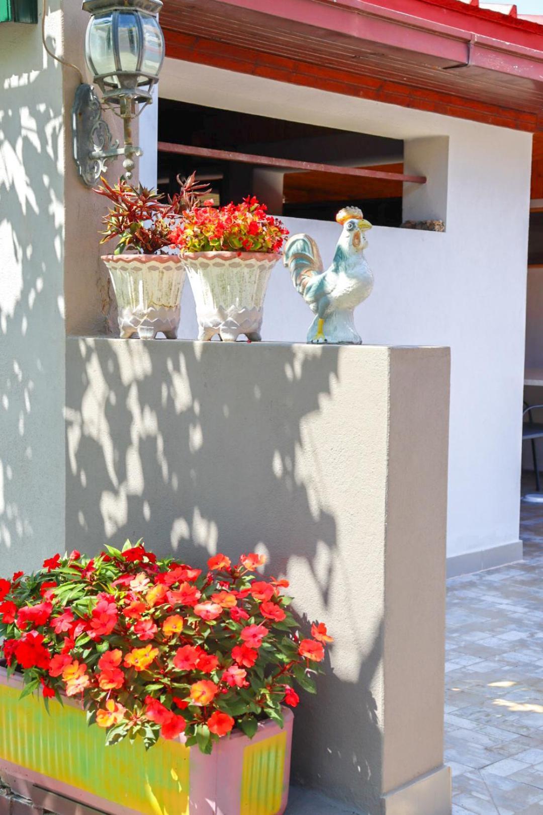 Hilja'S Oliven Garden Bungalows Ulcinj Kültér fotó
