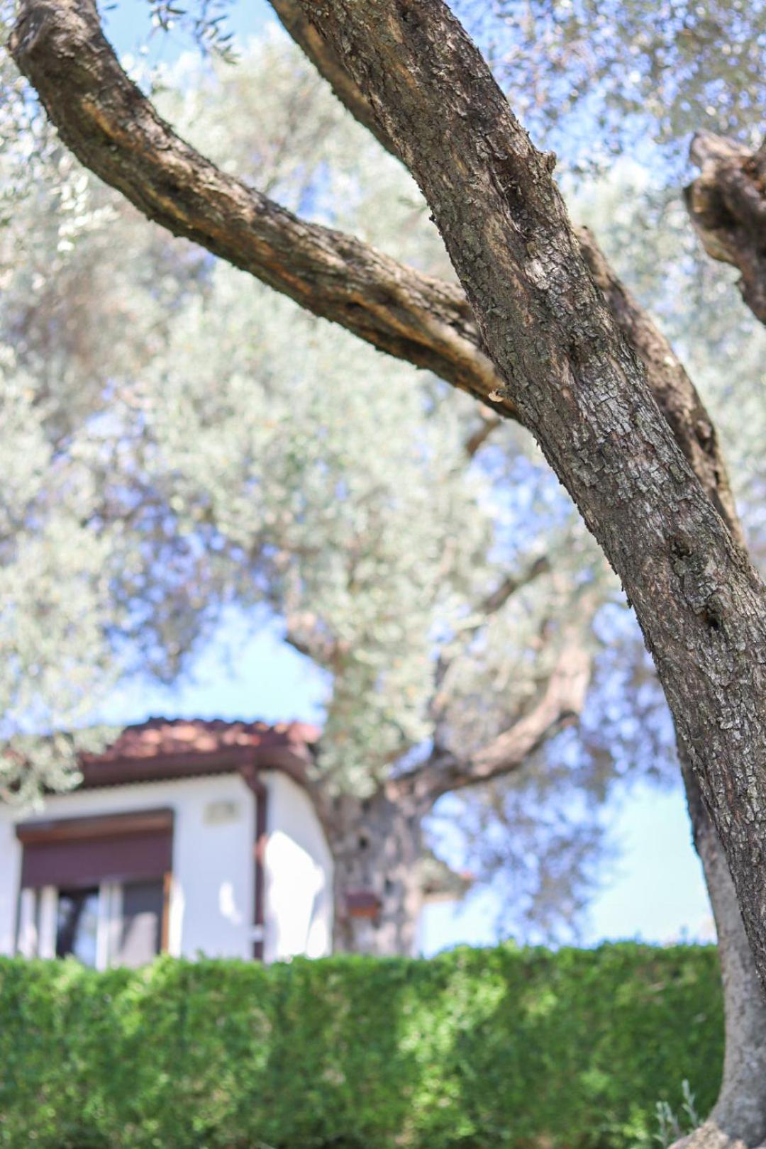 Hilja'S Oliven Garden Bungalows Ulcinj Kültér fotó