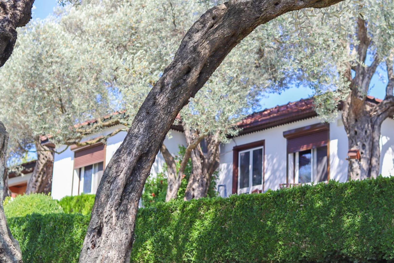 Hilja'S Oliven Garden Bungalows Ulcinj Kültér fotó