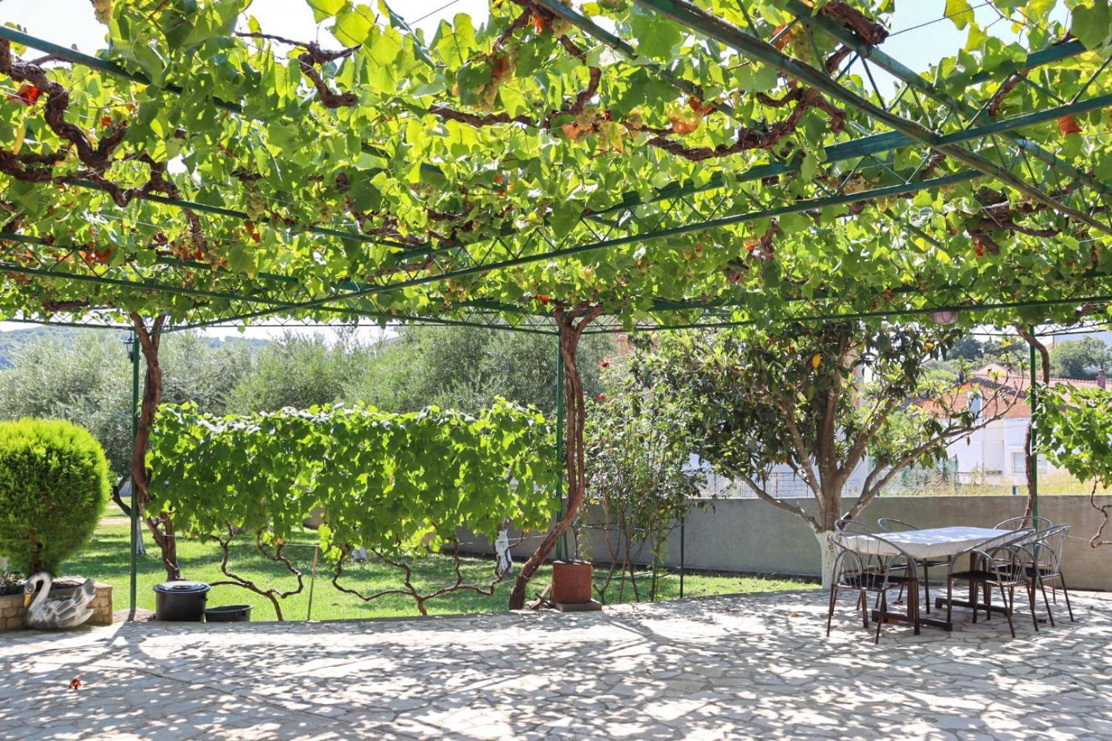 Hilja'S Oliven Garden Bungalows Ulcinj Kültér fotó